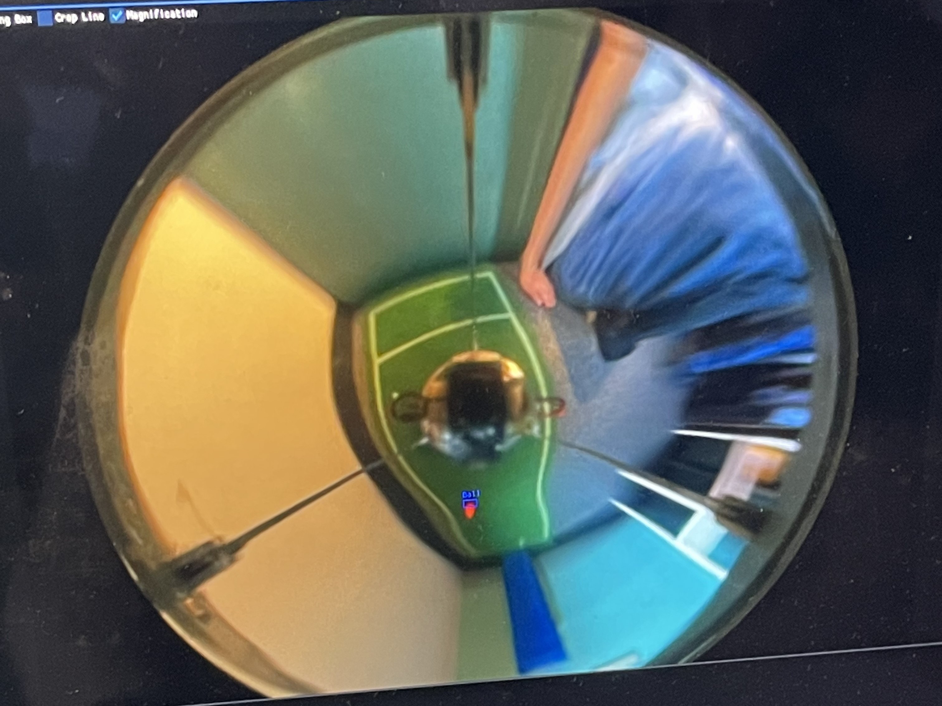 View from the robot's 360 degree mirror